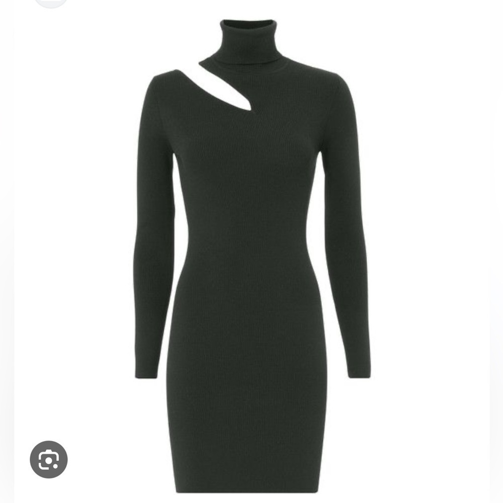 A.L.C West Turtle Neck Sweater Dress!